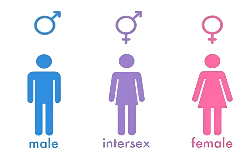 Intersex là gì? Những thông tin về intersex mà bạn cần biết